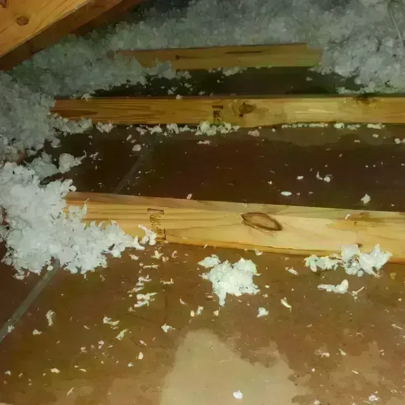 Attic Water Damage in City of Norfolk, VA