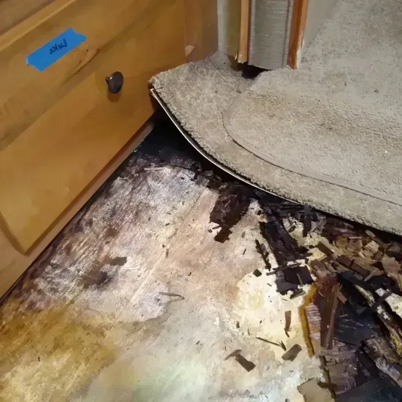 Wood Floor Water Damage in City of Norfolk, VA